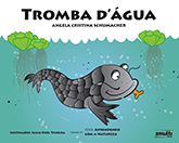 Tromba d´água